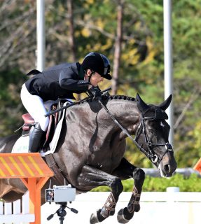 第53回全日本総合馬術大会　2023