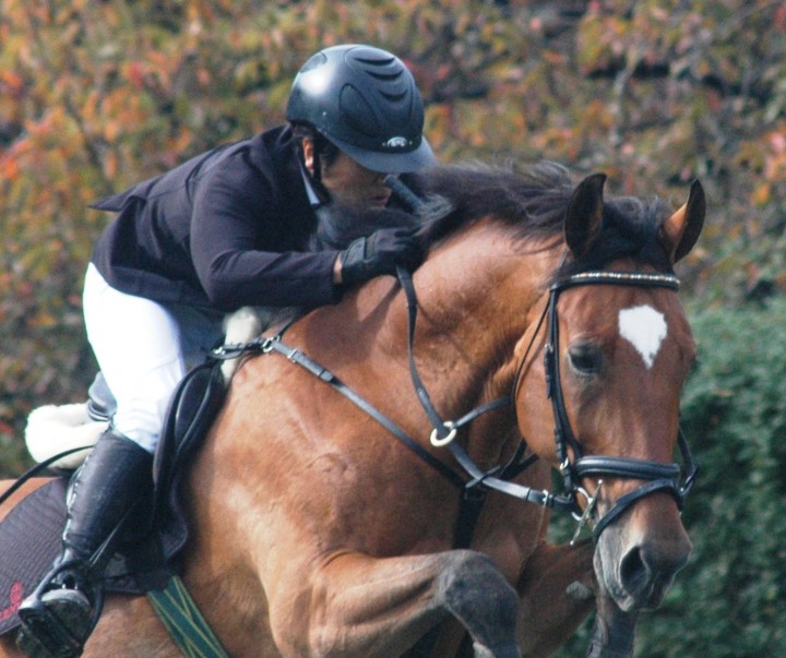 20151115d70 194ax