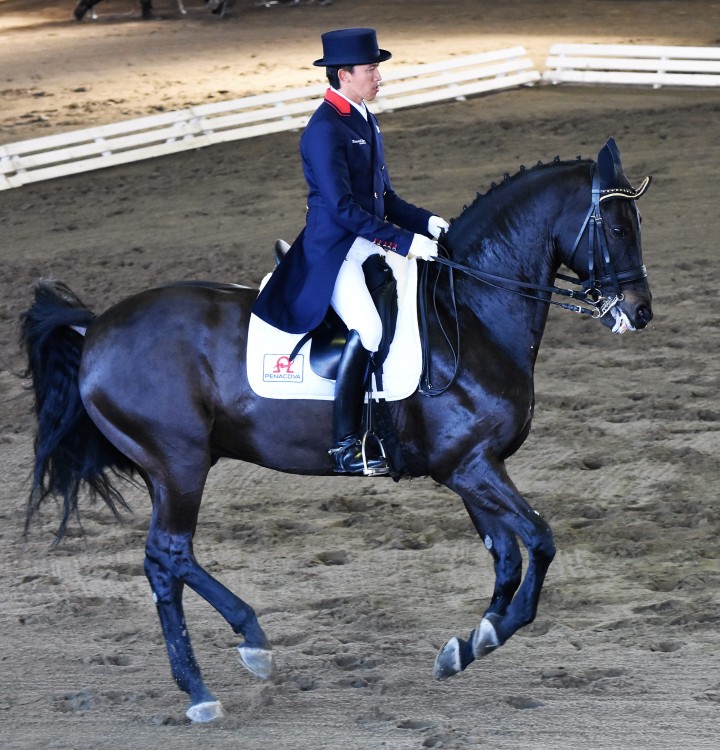 13hayashi